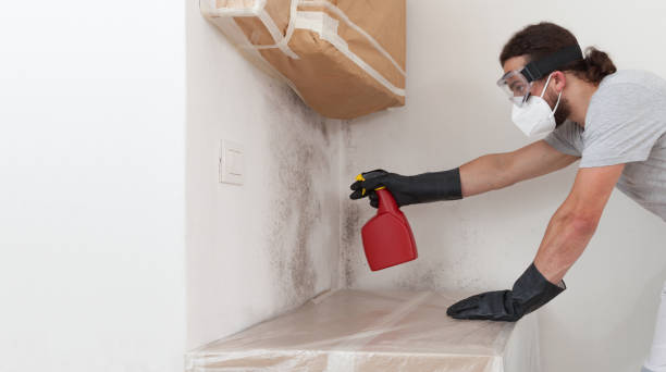 Professional Mold Removal technician working in Central City, PA